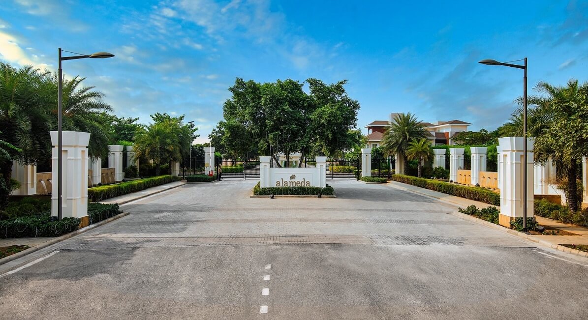 Complete Guide to DLF Plots and Floors: Sector-Wise Investment Options